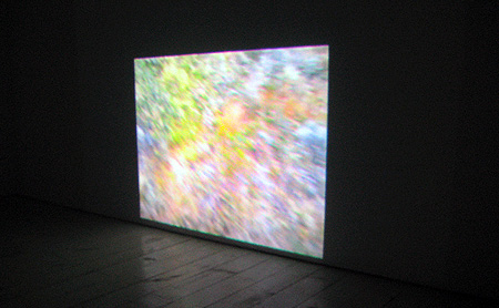 ward hill : 116 - 468 metres above sea level chris cottrell