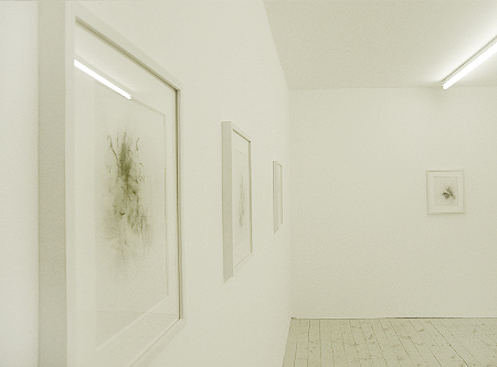 drafts david schutter