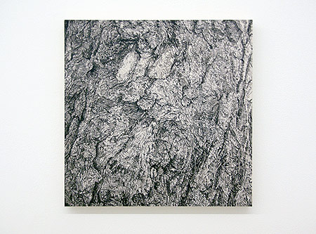 joan backes