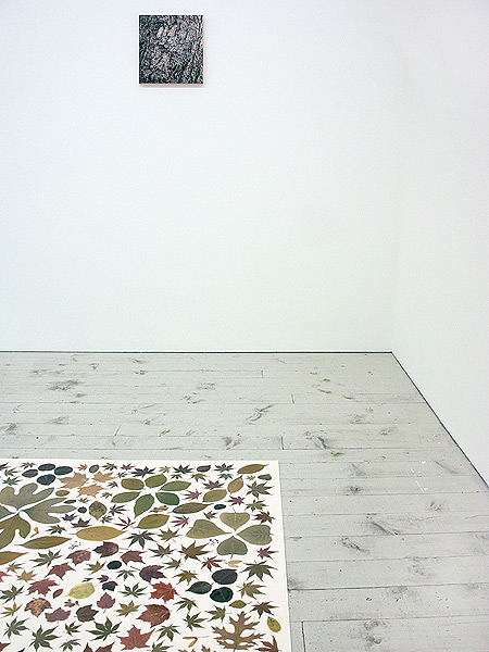 joan backes