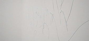 marianne eigenheer