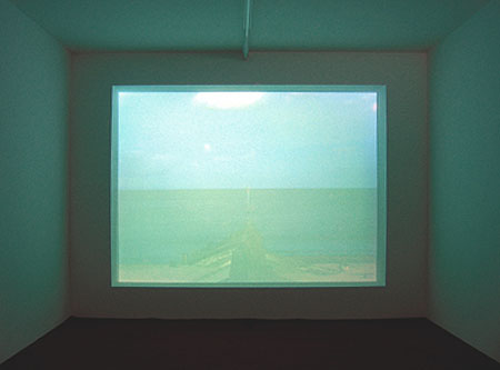 grass carpeted floor with sound activated projected work noriko umano