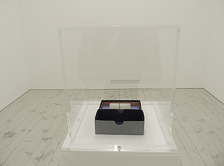 some electronic residues from the corpus of md patrick ireland